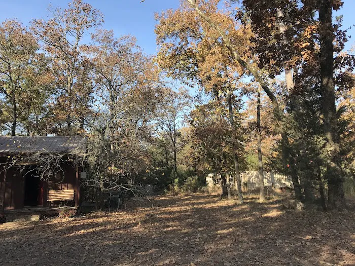 Squirrels Refuge Picture 10