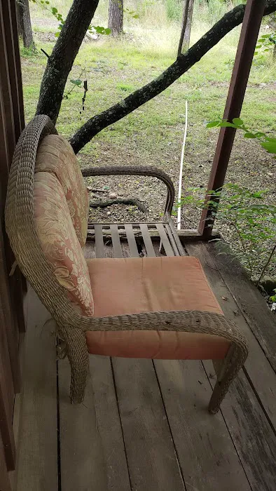 Squirrels Refuge Picture 7