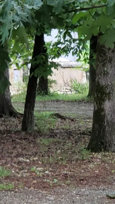 Squirrels Refuge Picture 4