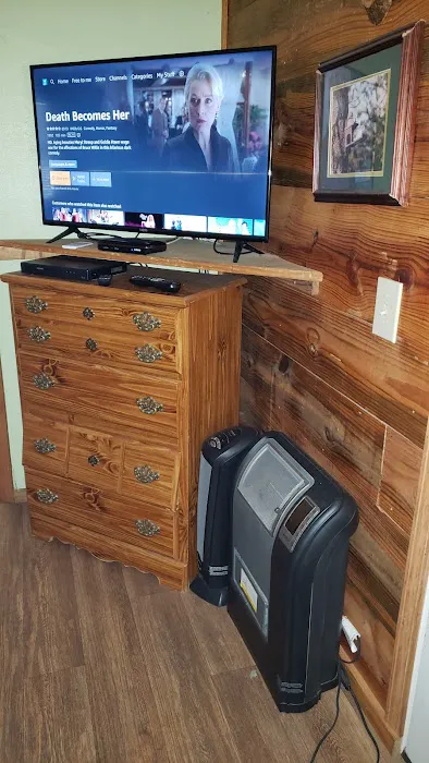 Squirrels Refuge Picture 8