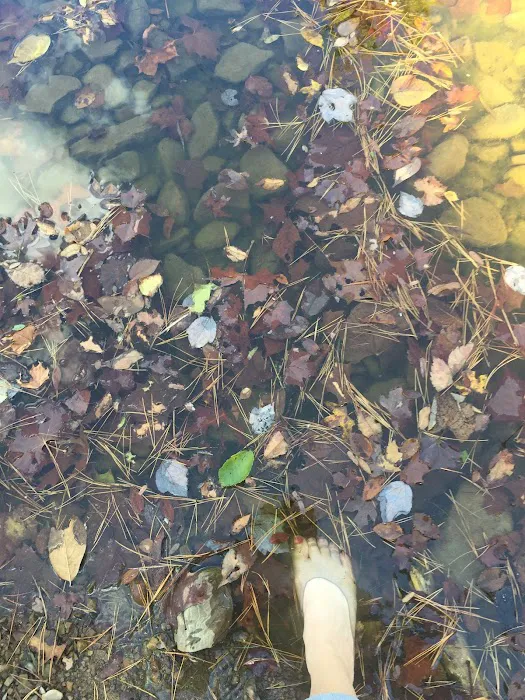 Clayton Lake Campground Picture 4