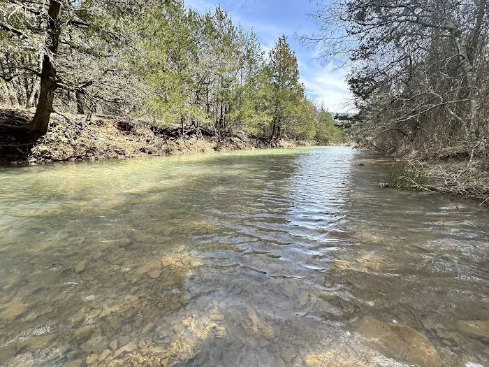Buffalo Tree Ranch Picture 1