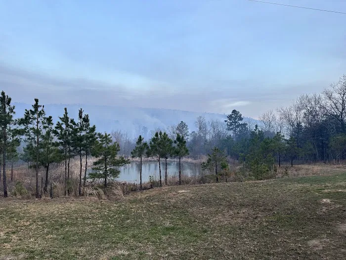Buffalo Tree Ranch Picture 6