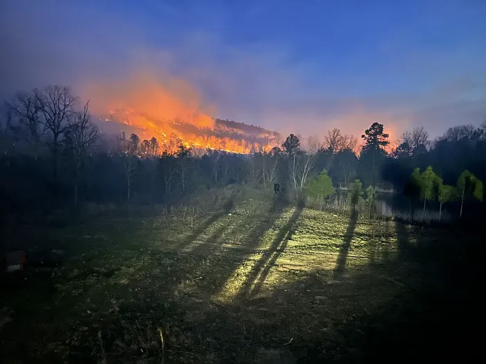 Buffalo Tree Ranch Picture 3