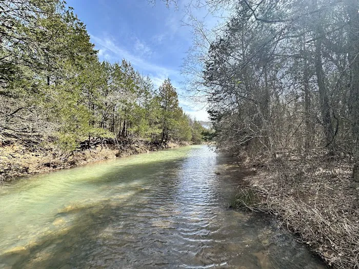 Buffalo Tree Ranch Picture 2