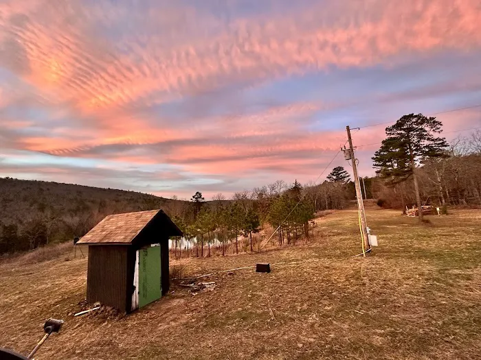 Buffalo Tree Ranch Picture 5