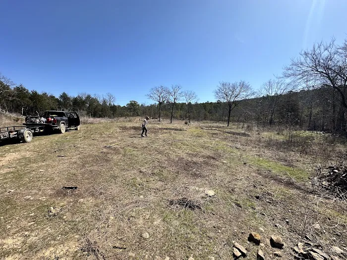 Buffalo Tree Ranch Picture 9