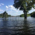 The Willows on Blue Mountain llc