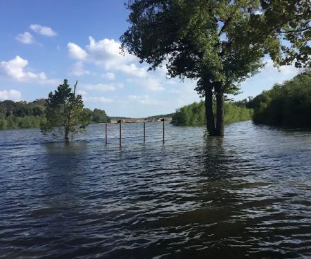 The Willows on Blue Mountain llc