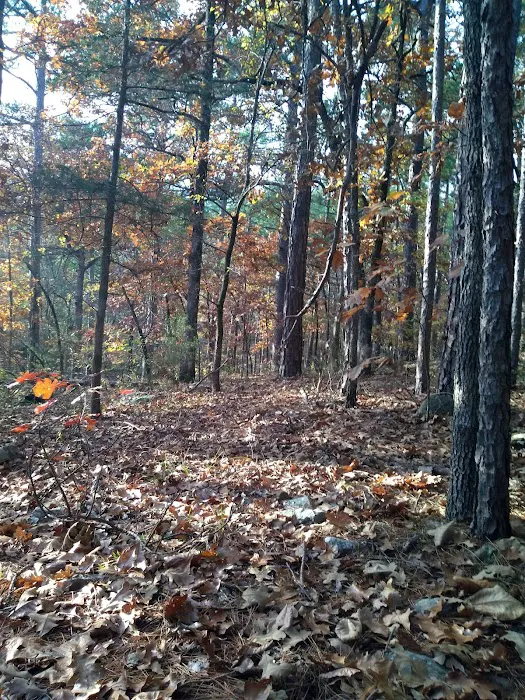 Camp Ground #2 Picture 7