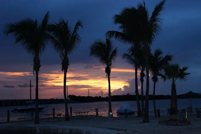 Sugarloaf Key / Key West KOA Resort Picture 6