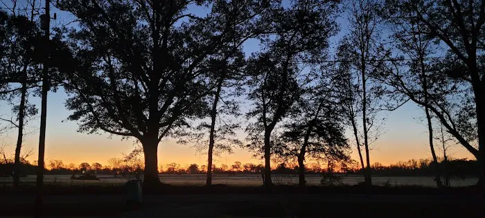 Renee's Galaxy Picture 2