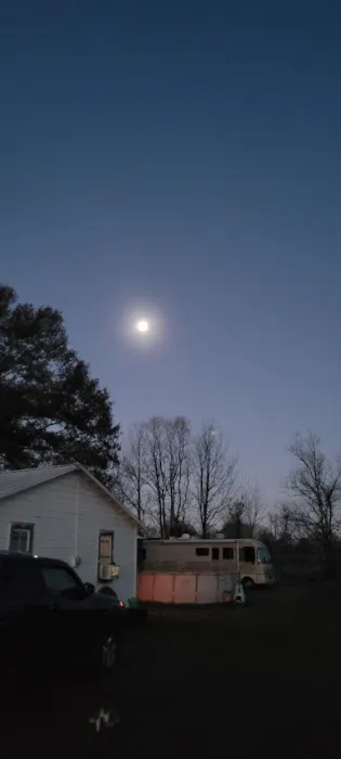 Renee's Galaxy Picture 1