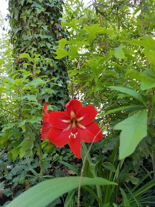 Cajun Campground Picture 2