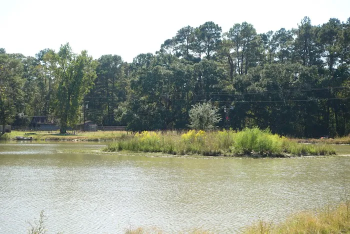 Cajun Campground Picture 5