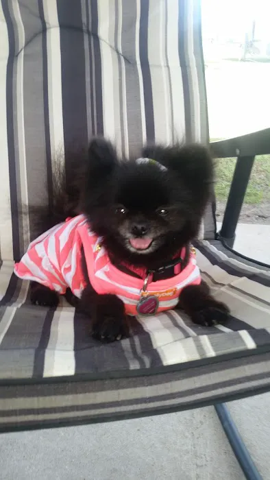 Cajun Campground Picture 6