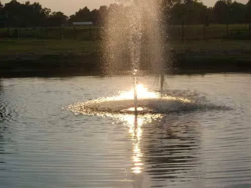 L'Acadie Inn & RV Park Picture 9