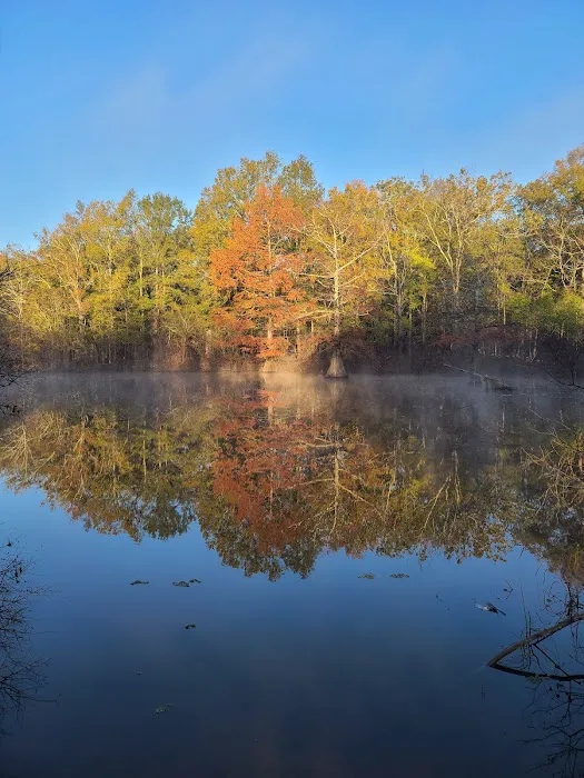 Muddy Bayou Campground Picture 1