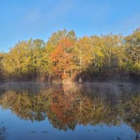 Muddy Bayou Campground ico