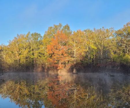 Muddy Bayou Campground