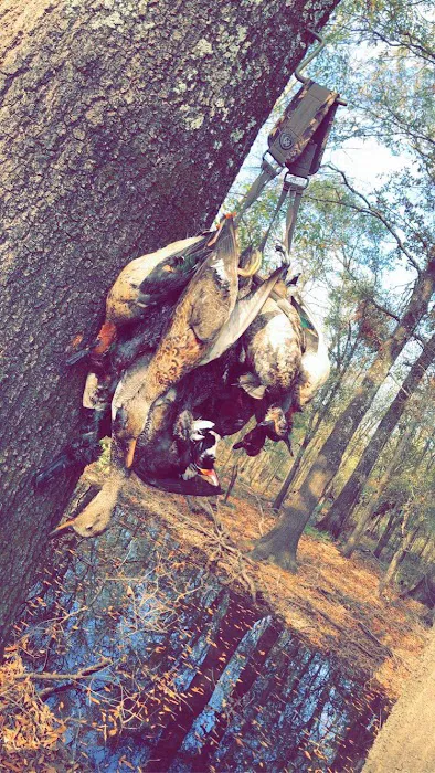 Russell's Campground Picture 2