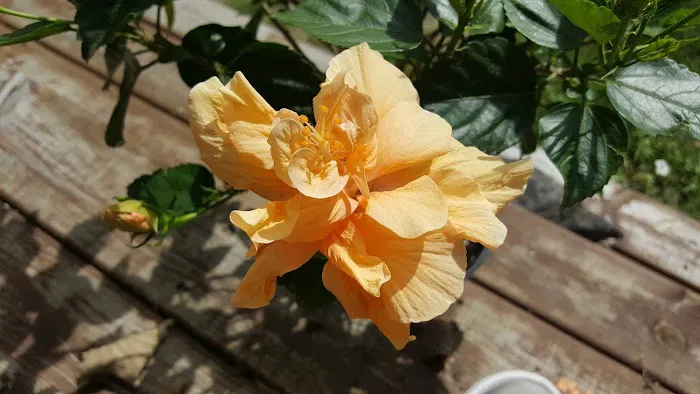 Golden Pond Campground LLC Picture 5