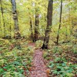 2Annes Lakeside RV Park