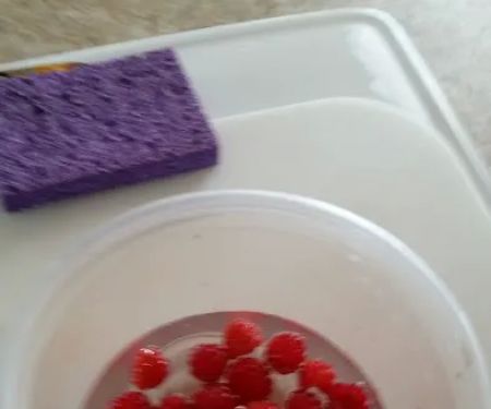 Lake Cameron RV Park and Campground