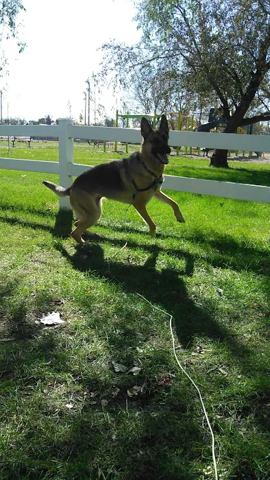 Milnor City Park Campground Picture 3