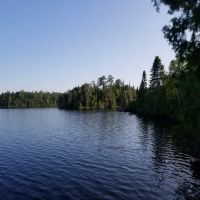 Bear Back Island ico