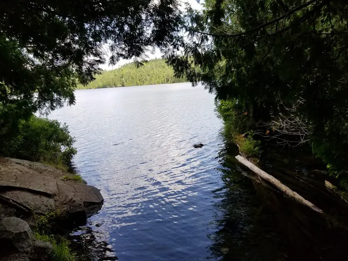 Bear Back Island Picture 6