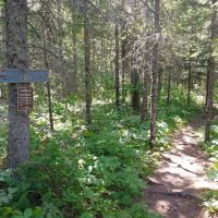 North Little Brule River Camp ico