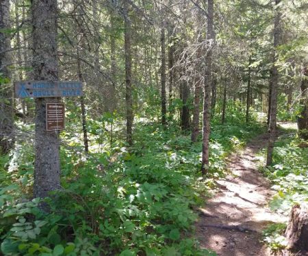 North Little Brule River Camp
