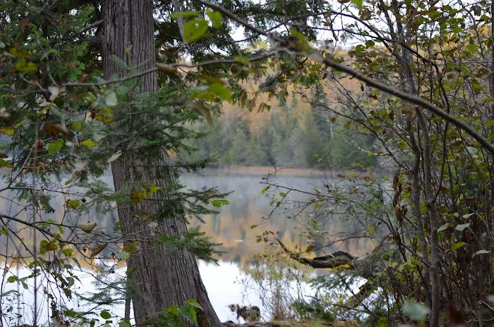 East Bearskin Lake Campground Picture 8