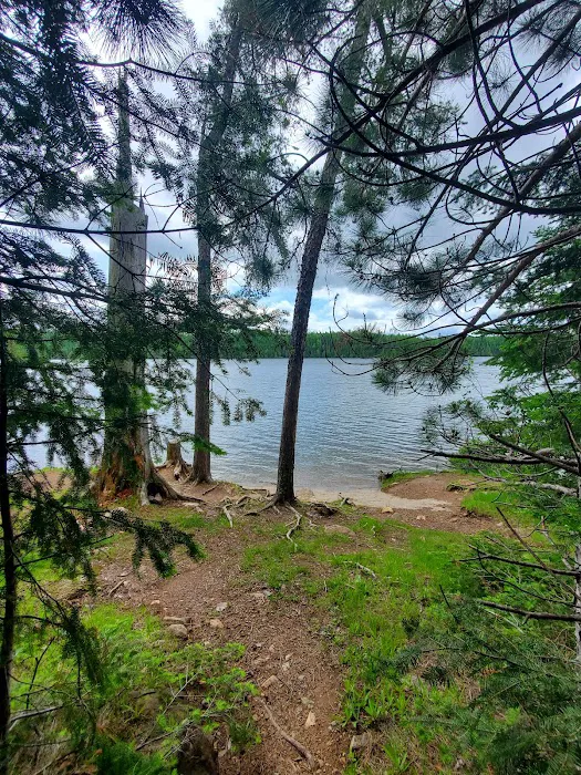 Flour Lake Campground Picture 2