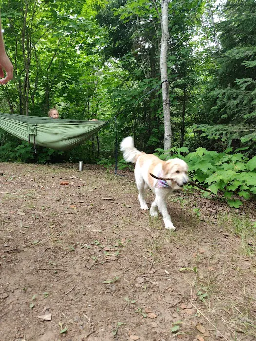 Flour Lake Campground Picture 5