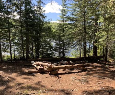 BWCA Campsite #698