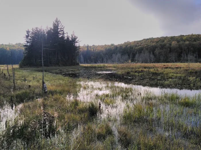 Hazel Camp Picture 1