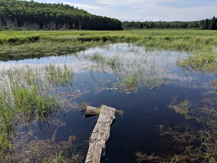 South Carlson Pond Camp Picture 5