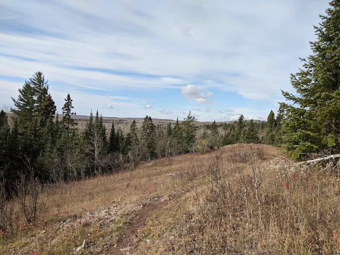 South Carlson Pond Camp Picture 1
