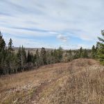 South Carlson Pond Camp
