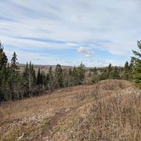 South Carlson Pond Camp ico