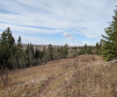 South Carlson Pond Camp