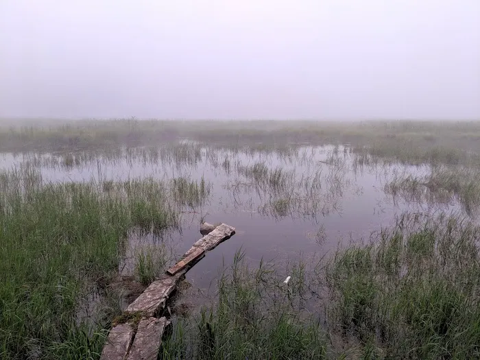South Carlson Pond Camp Picture 4