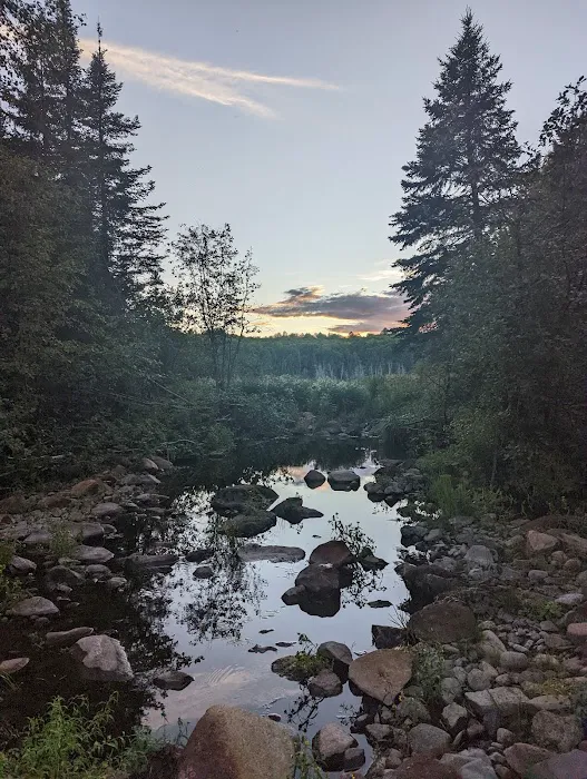 South Carlson Pond Camp Picture 3