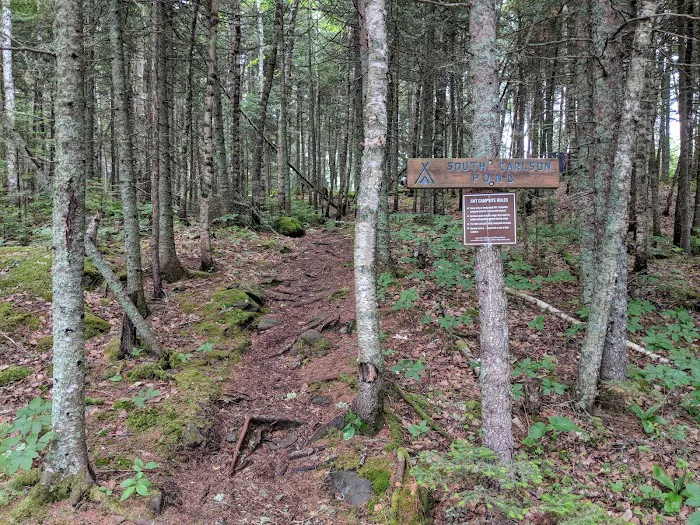 South Carlson Pond Camp Picture 8