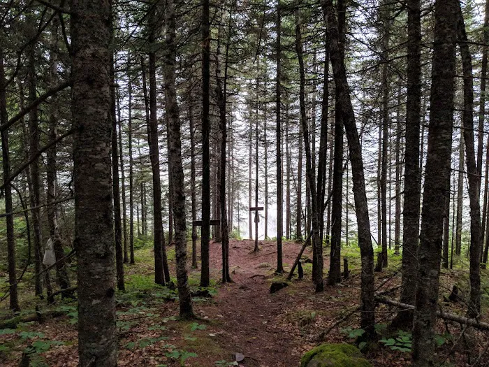 South Carlson Pond Camp Picture 6