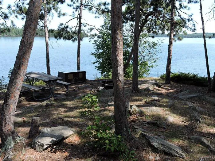 Fox Island N10 Campsite Picture 2