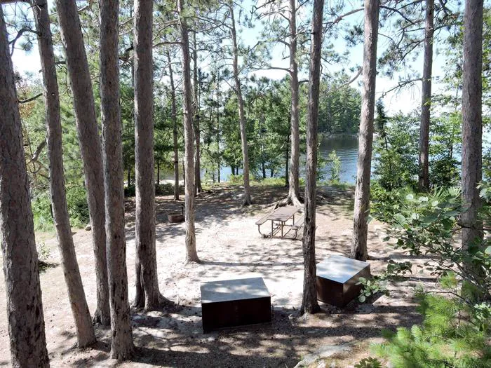 Wolf Pack East N48 Campsite Picture 1