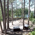 Wolf Pack East N48 Campsite